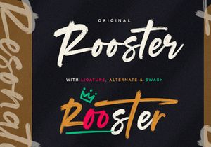 Resonate - Brush Script Font