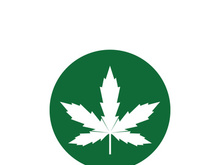 Canabis leaf logo and symbol vector