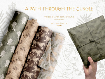 A Path Through the Jungle Collection preview picture