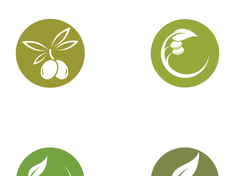 Olive fruit logo design.