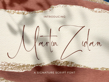 Martin Zidan - Signature Script Font preview picture