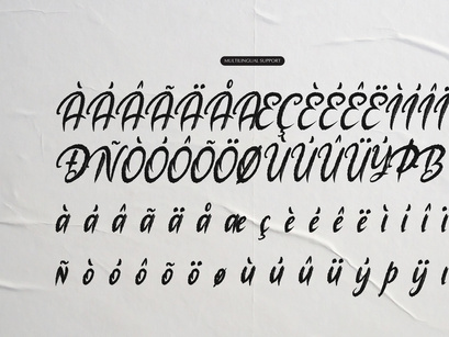 The Mollina | Solid Hand Drawn Brush