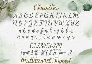 Virgiluna - Modern Calligraphy Font