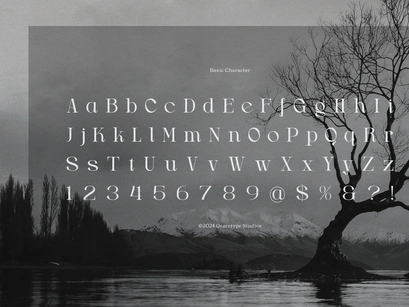Drogel | Display Serif Font