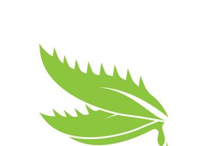 Aloe Vera logo icon design symbol beauty skin care