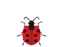 ladybird animal  vector logo symbol icon