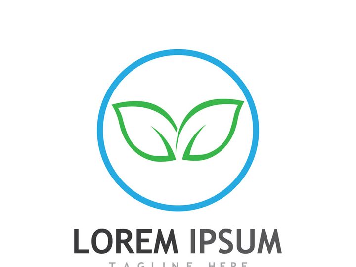 Colorful natural leaf logo design.