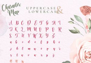 Virgi Ella - Lovely Calligraphy Font
