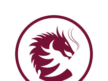 Dragon vector icon illustration design logo template