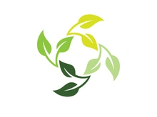 green leaf ecology vector