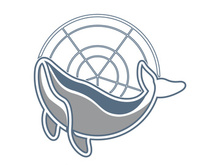 Whale logo