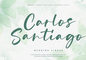 Bridget - Modern Script Font