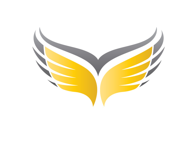 Wing bird logo vector