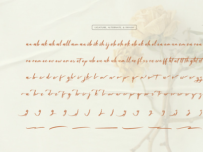 Waiting Cassey | Handwritten Script Font