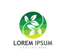 Natural green leaf logo.