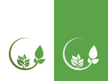 Logos of green tree leaf ecology nature element vector
