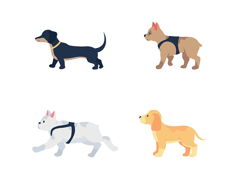 Different dog breeds flat color vector detailed character set