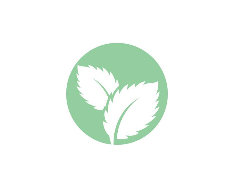 Mint Leaf icon template illustration