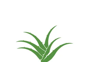 Aloe Vera logo icon design symbol beauty skin care