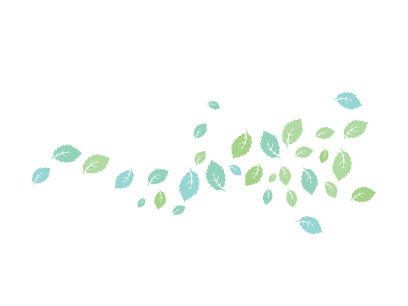 Mint Leaf icon template  illustration