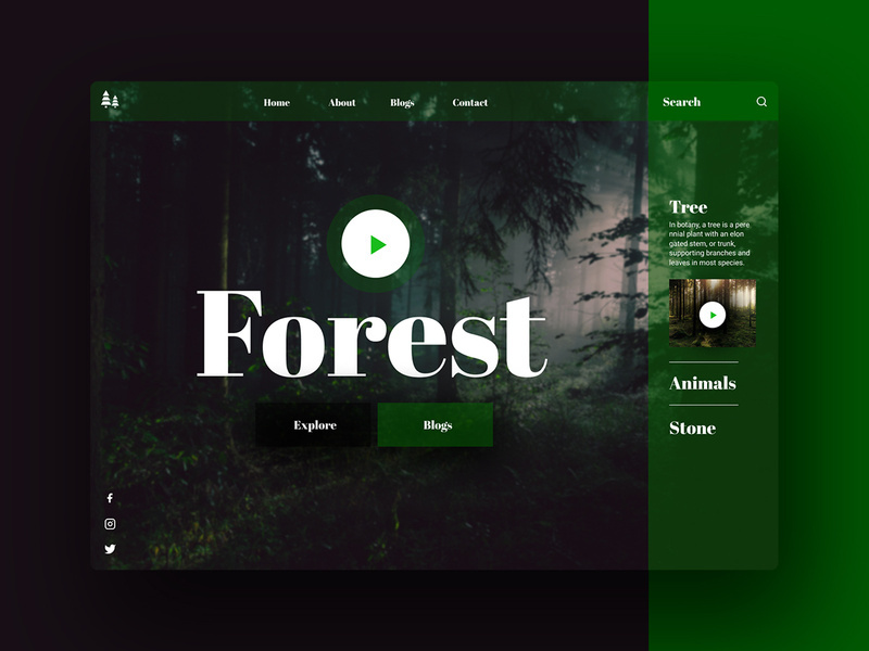 Night In Forest Header Concept
