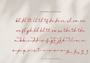 Pelagrium | Handwritten Script