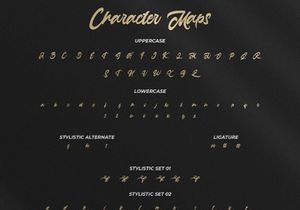 Anasite Malela - Bold Script Font