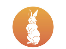 Rabbit logo