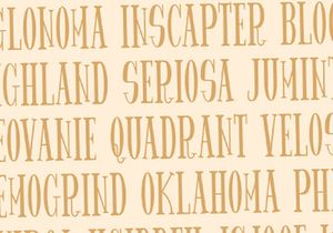 Spider King - Beautiful Serif Font