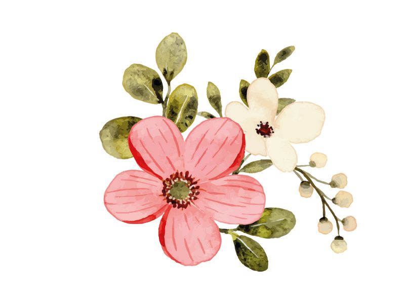 Vector Flower Watercolor Illustration