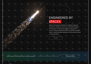 Starlink Tesla Redesign