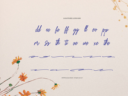 Lingered Amaya | Handwritten Script