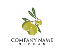 Extra virgin olive oil logo icon design vector illustration