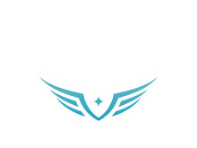 Falcon Wing  Vector Logo Icon Template
