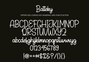 Batteky