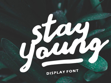 Stay Young Handlettering Display - [Personal Use] preview picture