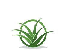 Aloe Vera logo icon design symbol beauty skin care