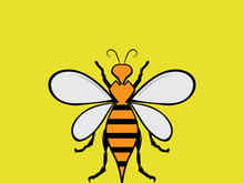 Bee Logo Template vector icon illustration design