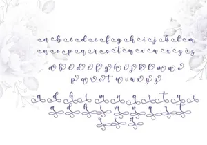 Sunday Morning Script Font by Monoco Type Foundry
