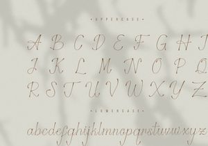 Stelaroy | Stylish Signature