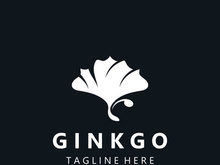 Ginkgo leaf biloba logo nature. Healthy ingredient that is used in medicine for disease treatment with line art style design