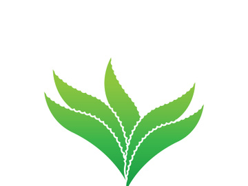 Aloe Vera logo icon design symbol beauty skin care preview picture