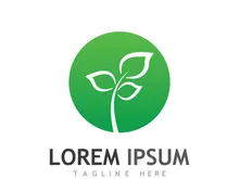 Natural green leaf logo design.