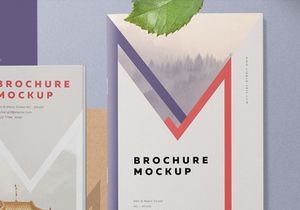 Free A5 Brochure Mockup PSD