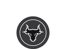 Bull head logo vector icon design illustration