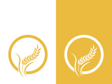Wheat logo vector icon illustration design