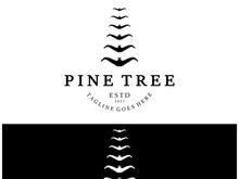simple pine or fir tree logo,evergreen.for pine forest,adventurers,camping,nature,badges and business.vector