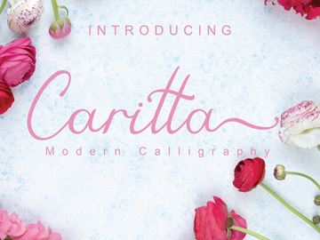 Caritta preview picture