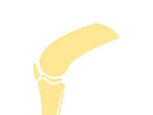 Joint bones vector logo design for orthopedic clinics and diagnostic centers