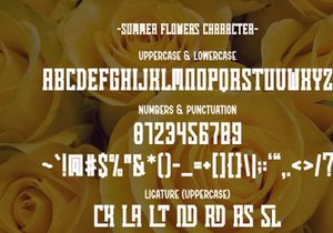 Summer Flower - Vintage Slab Serif